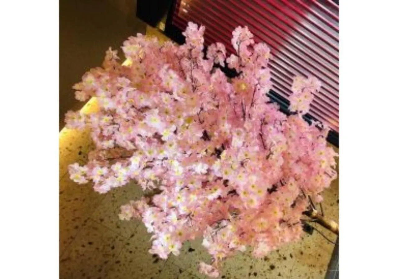 Sakura Sky Hotel - Vacation Stay 18442V Tokyo